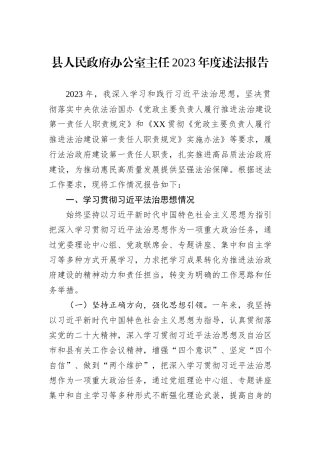 县人民政府办公室主任2023年度述法报告