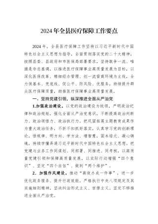 2024年全县医疗保障工作要点