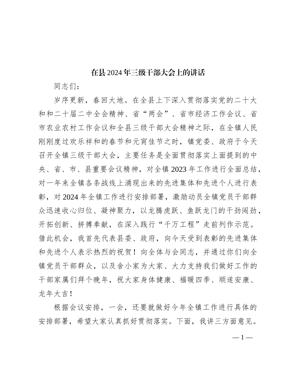 在县2024年三级干部大会上的讲话_第1页