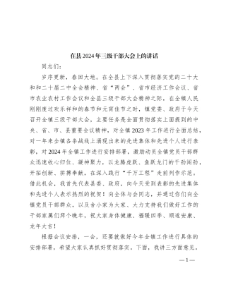 在县2024年三级干部大会上的讲话