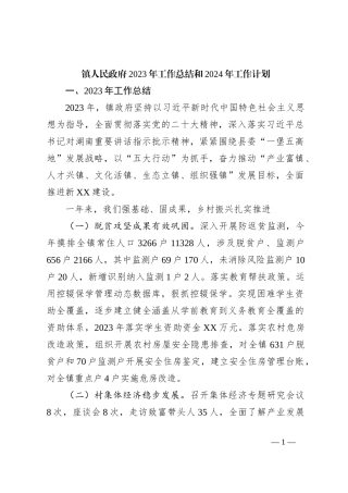 镇人民政府2023年工作总结和2024年工作计划