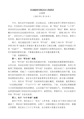 【高质量】王青峰：在市政府全体会议上的讲话