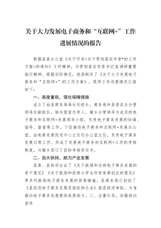 关于大力发展电子商务和“互联网+”工作进展情况的报告