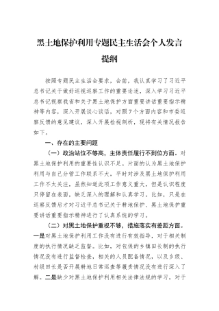 黑土地保护利用专题民主生活会个人发言提纲