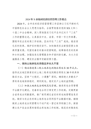 2024年X市农村经济经营管理工作要点