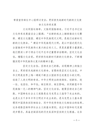 常委宣传部长中心组研讨发言：更好担负起新时代新的文化使命文化传承发展