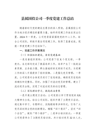 县属国投公司一季度党建工作总结