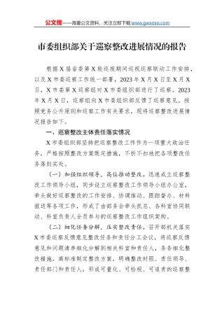 市委组织部关于巡察整改进展情况的报告