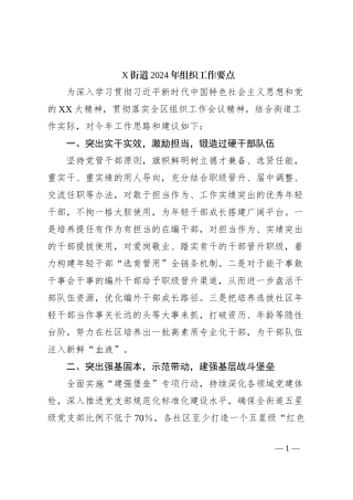 X街道2024年组织工作要点