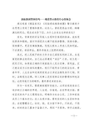 汲取教训 警钟长鸣——观看警示教育片心得体会