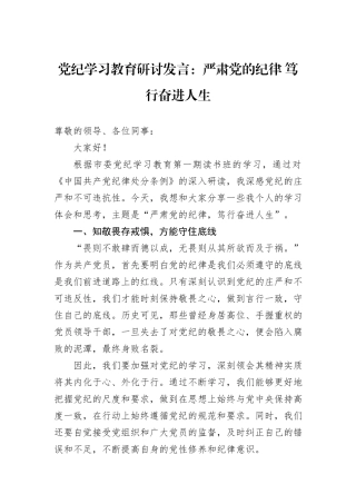 党纪学习教育研讨发言：严肃党的纪律+笃行奋进人生