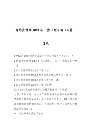 （6篇）自然资源局2024年工作计划汇编