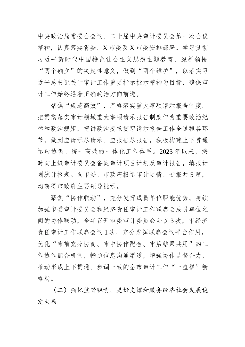 2023年度X市审计工作总结_第2页