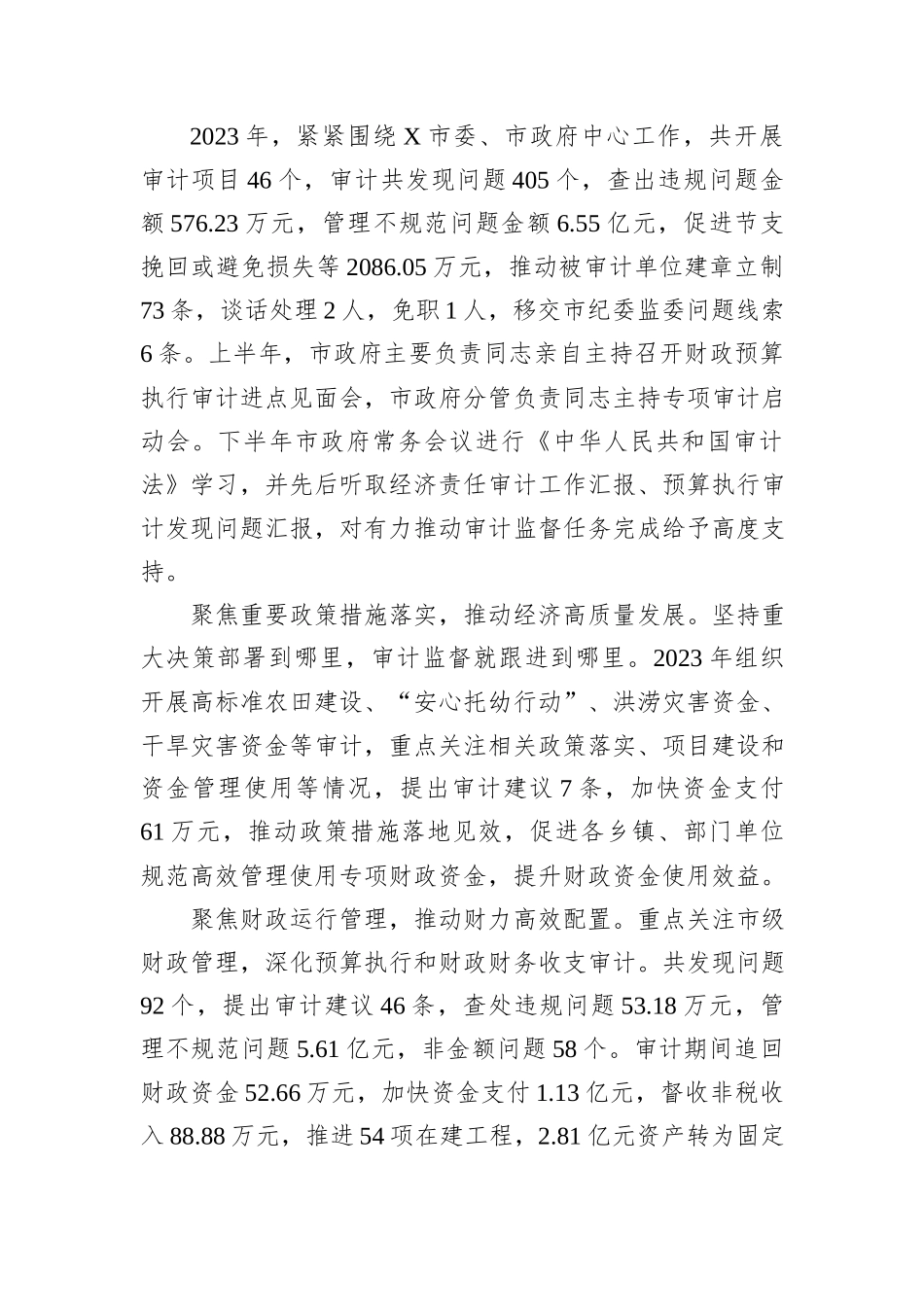 2023年度X市审计工作总结_第3页