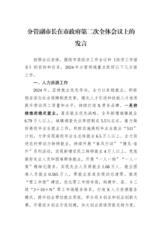 分管副市长在市政府第二次全体会议上的发言