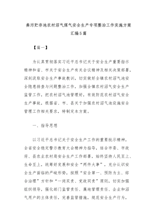 (5篇)粪污贮存池农村沼气煤气安全生产专项整治工作实施方案汇编
