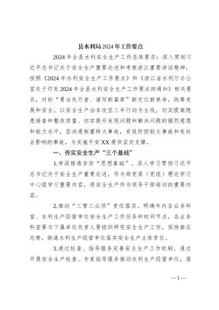 县水利局2024年工作要点