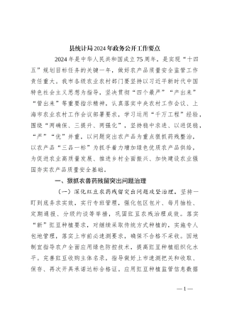 县统计局2024年政务公开工作要点