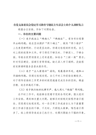 在党支部委员会党纪学习教育专题民主生活会上的个人剖析发言