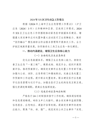 2024年XX区卫生应急工作要点
