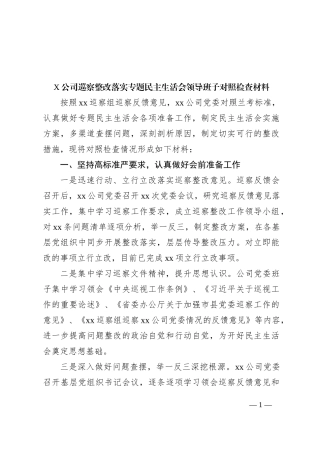 X公司巡察整改落实专题民主生活会领导班子对照检查材料