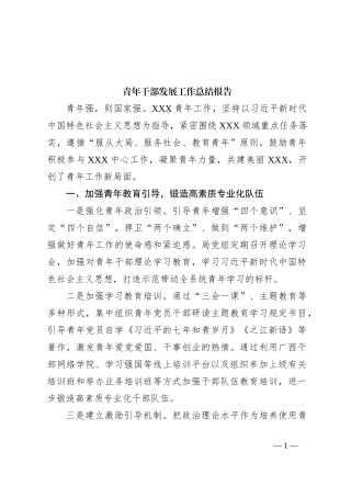 青年干部发展工作总结报告