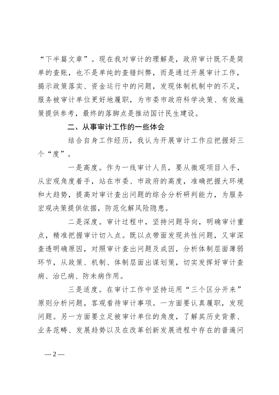 审计干部在青年干部座谈会上的发言材料_第2页