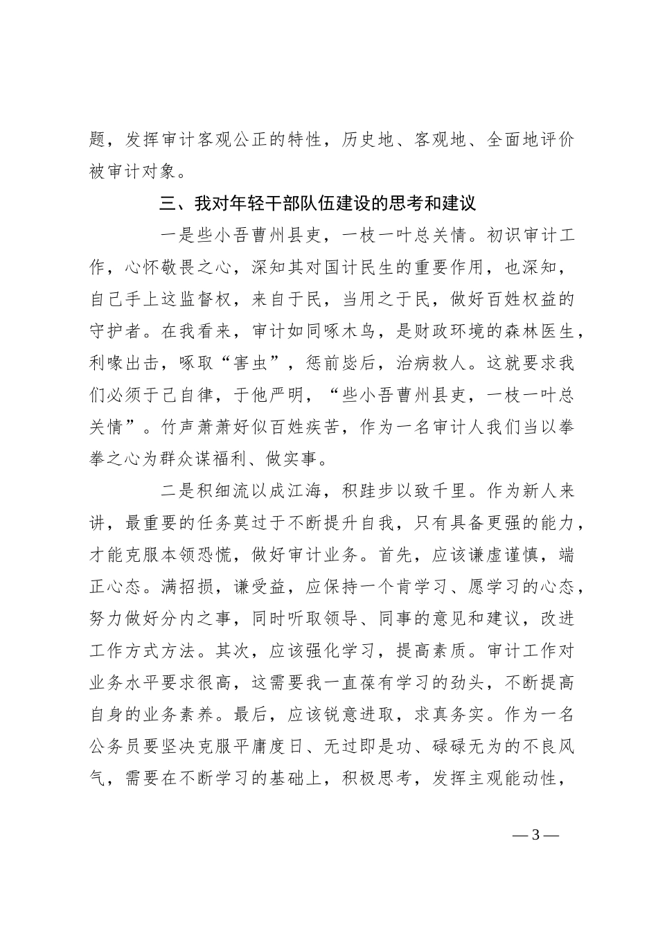 审计干部在青年干部座谈会上的发言材料_第3页