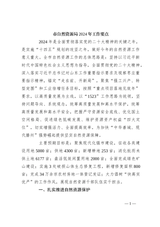 市自然资源局2024年工作要点