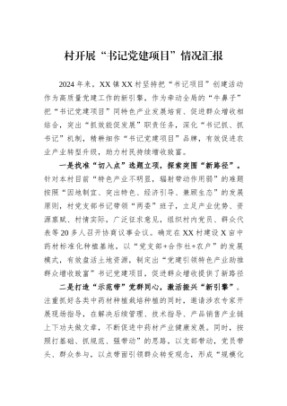 村开展“书记党建项目”情况汇报