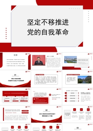 李明伟：坚定不移推进党的自我革命（二十届中央纪委三次全会）