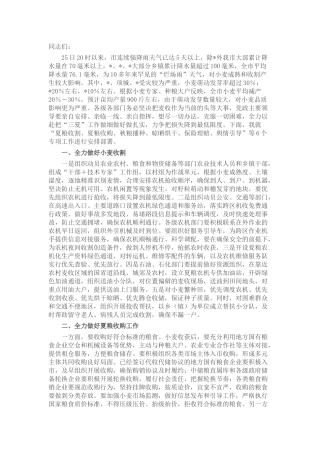 在全市“三夏”生产调度会议上的讲话提纲