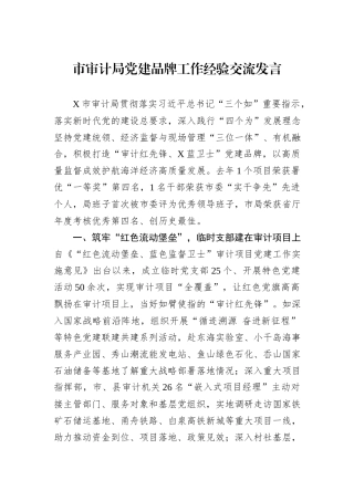 市审计局党建品牌工作经验交流发言