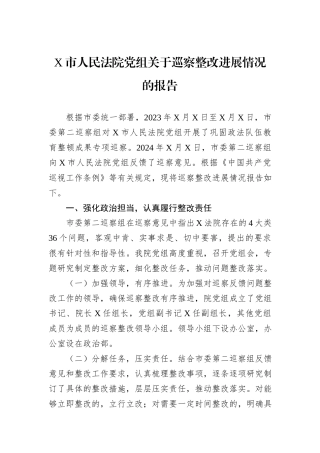 X市人民法院党组关于巡察整改进展情况的报告