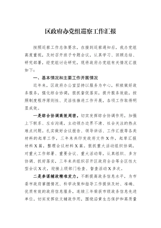 区政府办党组巡察工作汇报