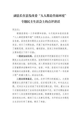 副县长在县发改委“人人都是营商环境”专题民主生活会上的点评讲话