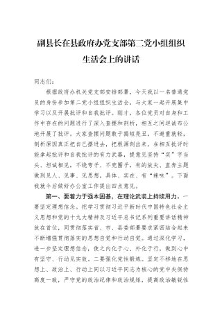 副县长在县政府办党支部第二党小组组织生活会上的讲话