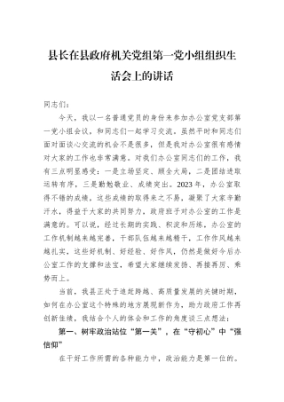 县长在县政府机关党组第一党小组组织生活会上的讲话