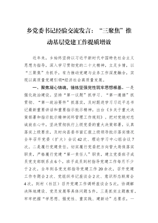 乡党委书记经验交流发言：“三聚焦”推动基层党建工作提质增效