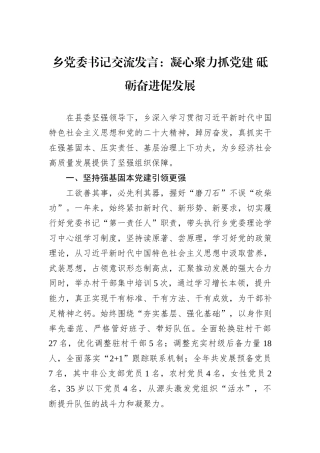 乡党委书记交流发言：凝心聚力抓党建+砥砺奋进促发展