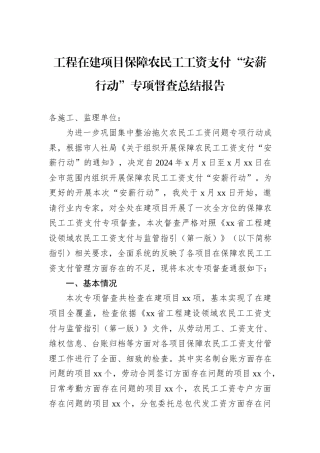 工程在建项目保障农民工工资支付“安薪行动”专项督查总结报告