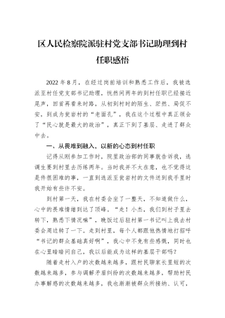 区人民检察院派驻村党支部书记助理到村任职感悟