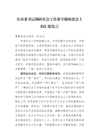 在市委书记调研社会工作部专题座谈会上的汇报发言