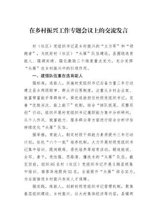 在乡村振兴工作专题会议上的交流发言