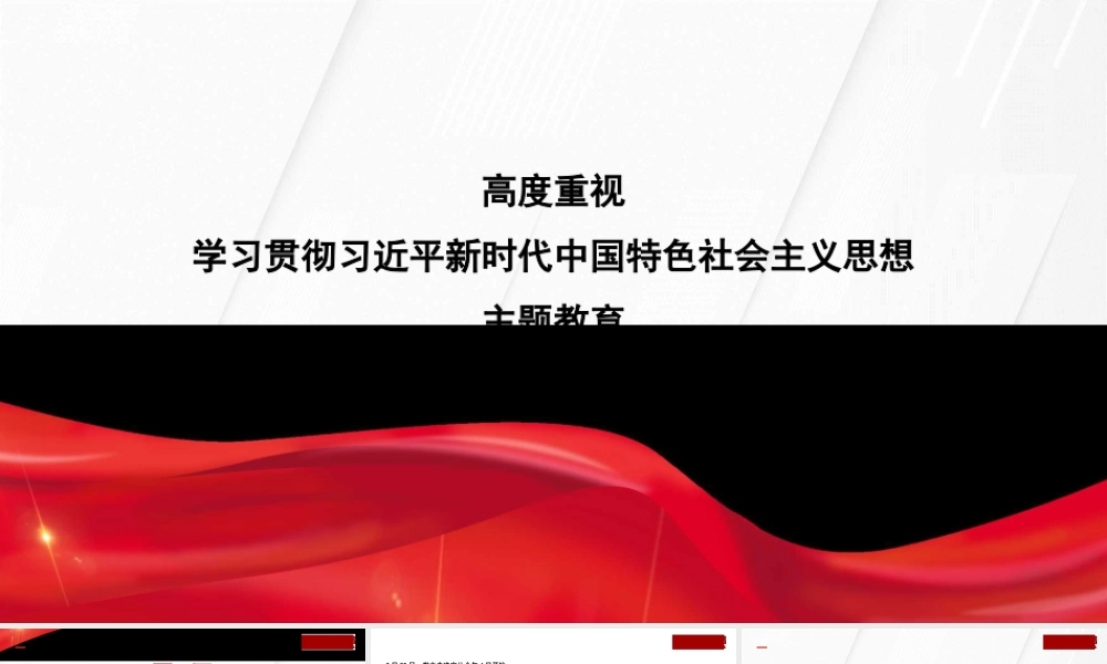 1高度重视学习贯彻习近平新时代中国特色社会主义思想主题教育1