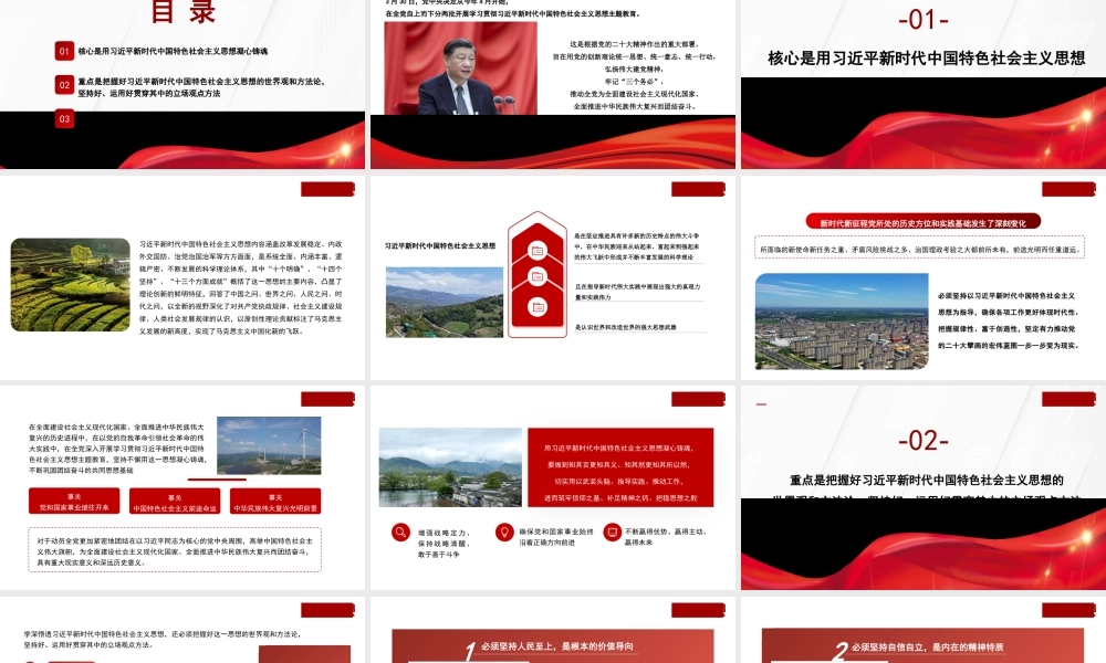1高度重视学习贯彻习近平新时代中国特色社会主义思想主题教育1
