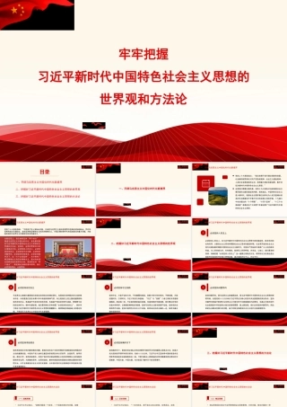 1牢牢把握习近平新时代中国特色社会主义思想的世界观和方法论1