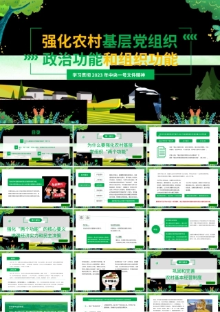 1强化农村基层党组织政治功能和组织功能 解读2023年中央一号文件1