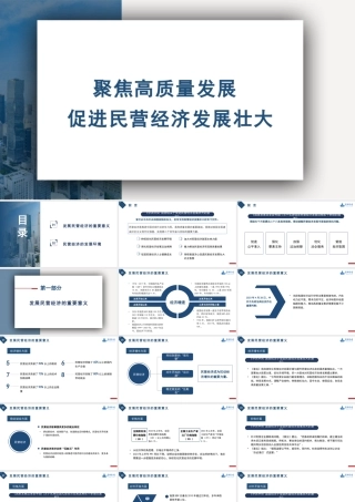 1聚焦高质量发展促进民营经济发展壮大1