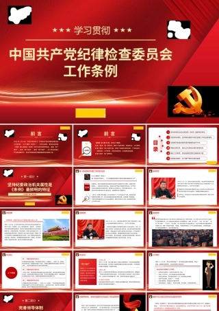 1学习贯彻《中国共产党纪律检查委员会工作条例》1